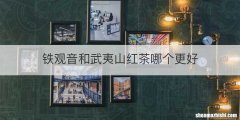 铁观音和武夷山红茶哪个更好