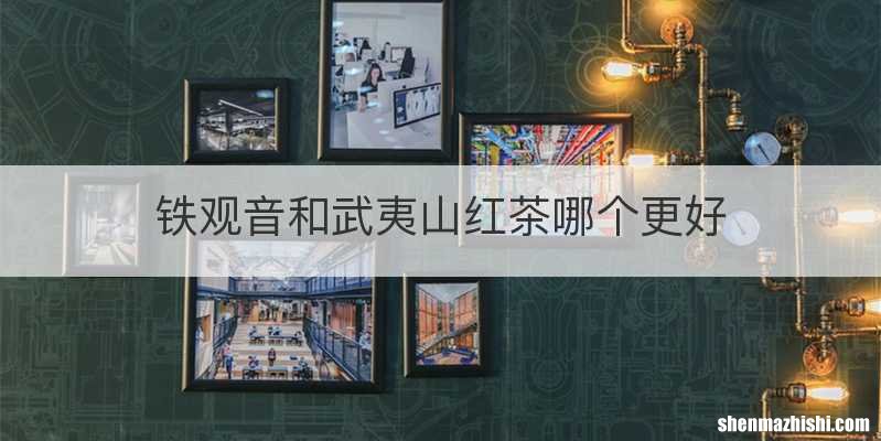 铁观音和武夷山红茶哪个更好
