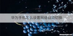 华为手机怎么设置网络自动切换