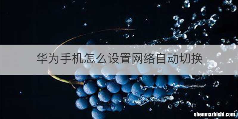 华为手机怎么设置网络自动切换