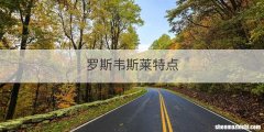 罗斯韦斯莱特点