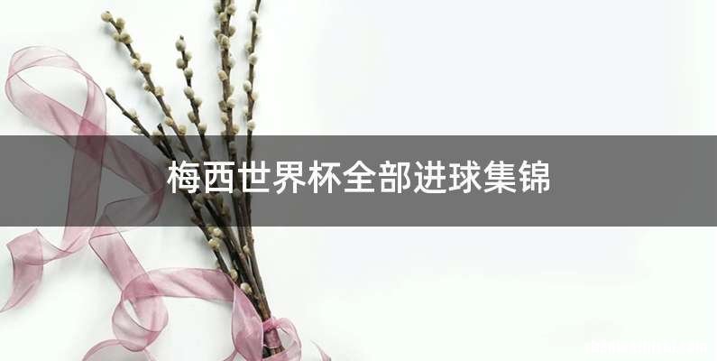 梅西世界杯全部进球集锦