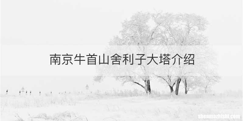 南京牛首山舍利子大塔介绍