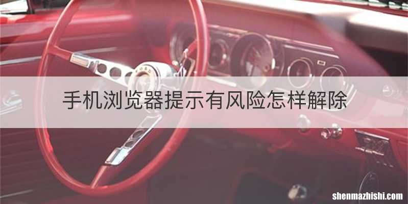 手机浏览器提示有风险怎样解除