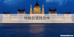 特斯拉瓷砖怎样