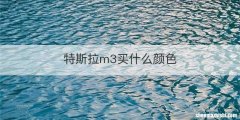 特斯拉m3买什么颜色