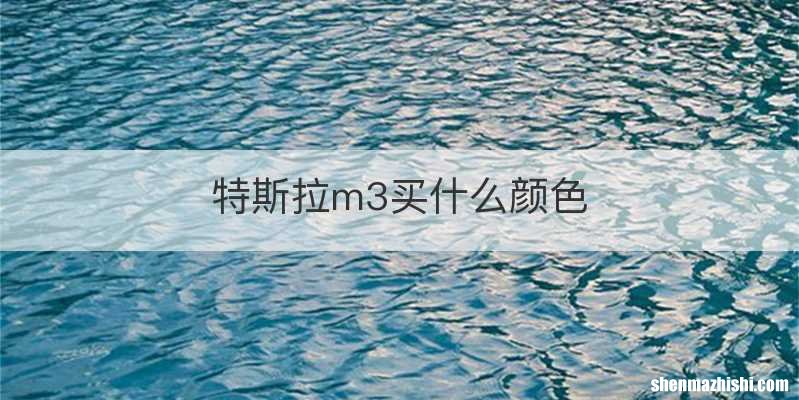 特斯拉m3买什么颜色