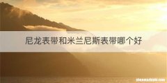 尼龙表带和米兰尼斯表带哪个好