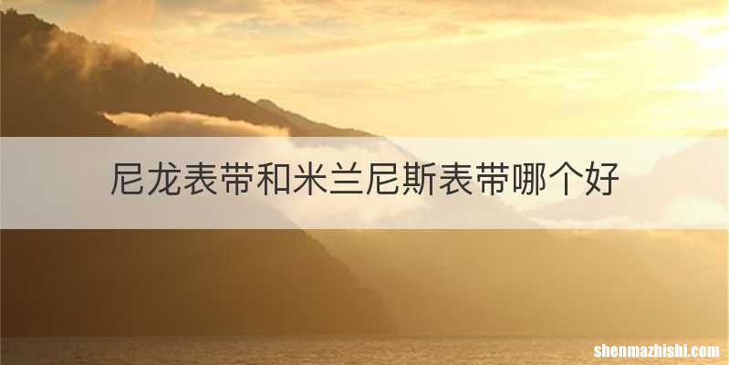 尼龙表带和米兰尼斯表带哪个好