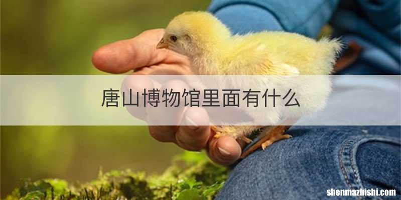唐山博物馆里面有什么