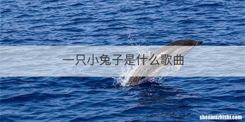 一只小兔子是什么歌曲
