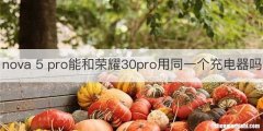 nova 5 pro能和荣耀30pro用同一个充电器吗