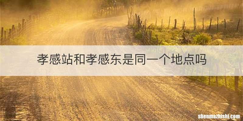 孝感站和孝感东是同一个地点吗