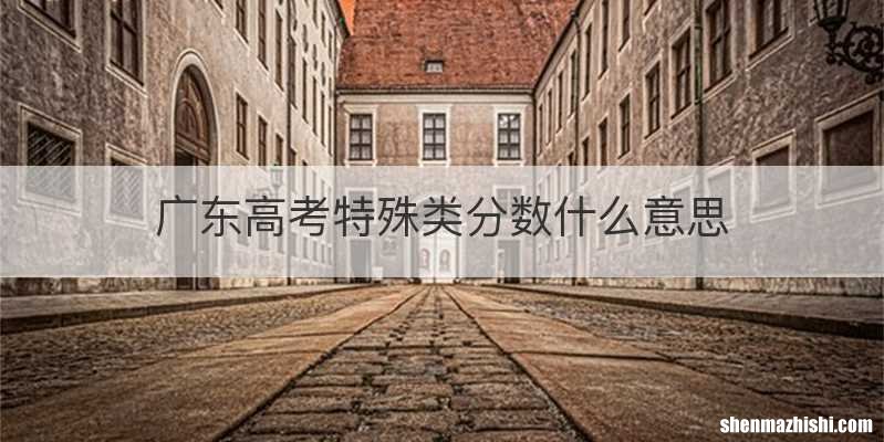 广东高考特殊类分数什么意思