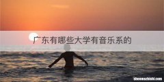 广东有哪些大学有音乐系的