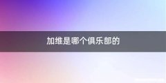 加维是哪个俱乐部的