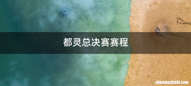 都灵总决赛赛程