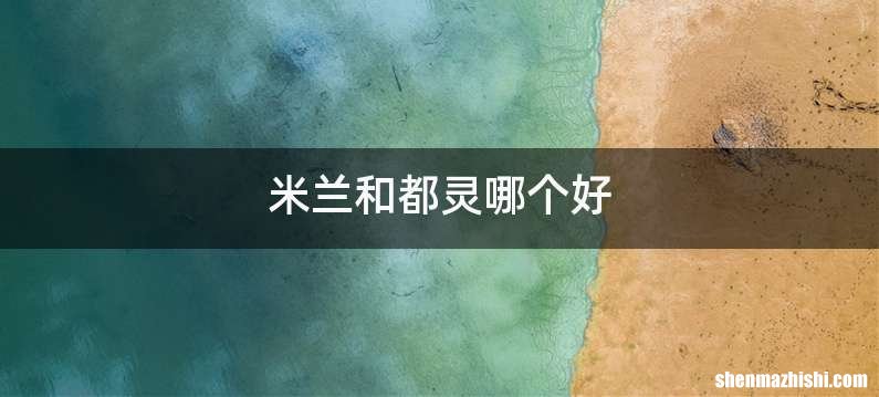 米兰和都灵哪个好