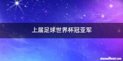 上届足球世界杯冠亚军