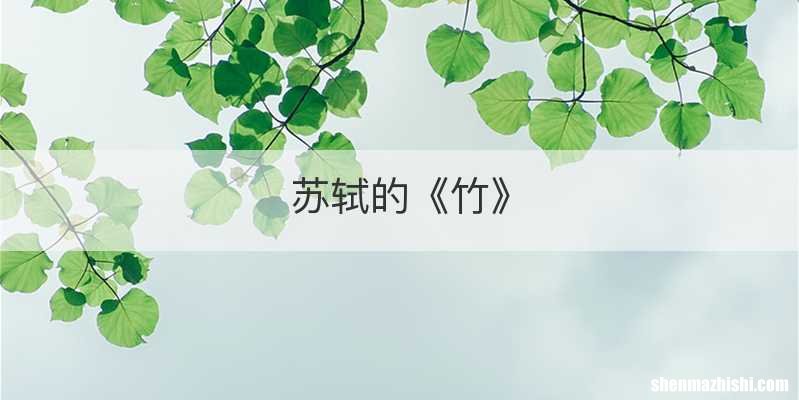 苏轼的《竹》