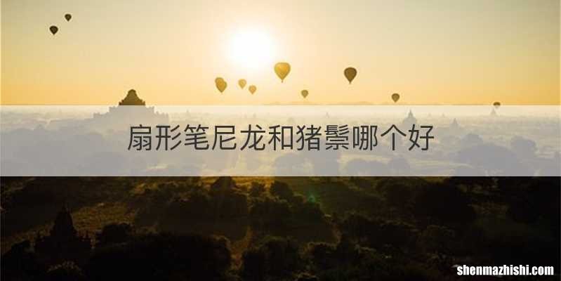 扇形笔尼龙和猪鬃哪个好