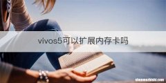vivos5可以扩展内存卡吗