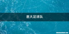 意大足球队