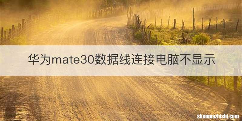 华为mate30数据线连接电脑不显示