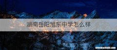 湖南岳阳旭东中学怎么样