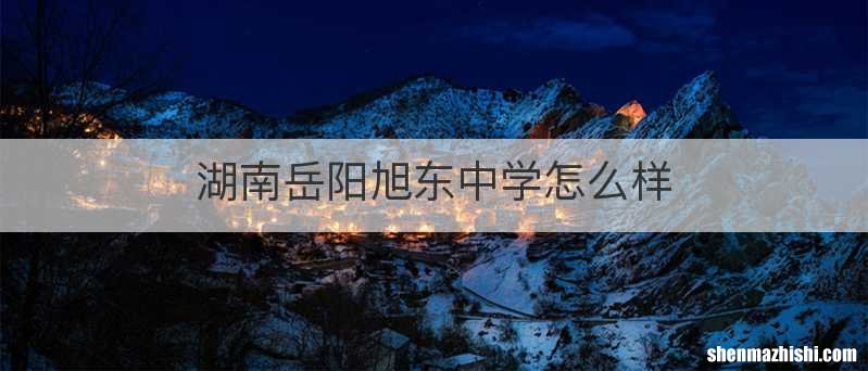 湖南岳阳旭东中学怎么样