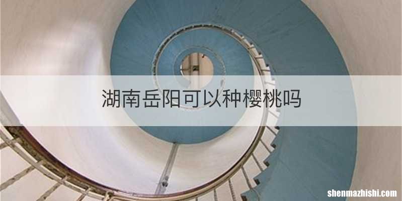 湖南岳阳可以种樱桃吗