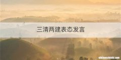 三清两建表态发言