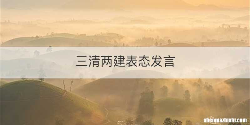 三清两建表态发言