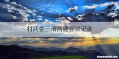 村两委三清两建会议记录