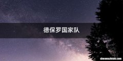 德保罗国家队