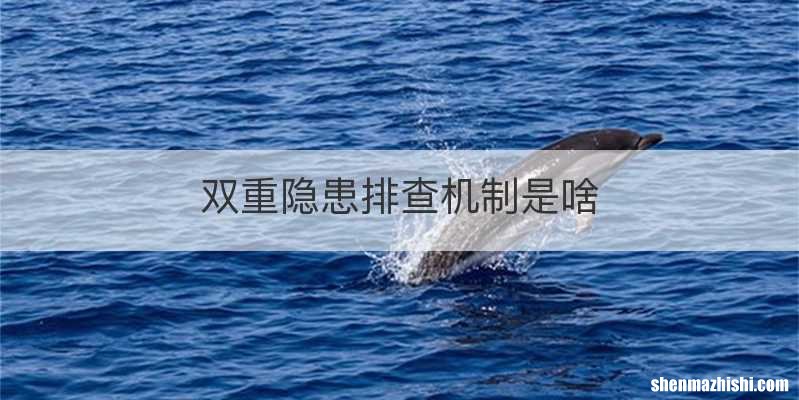 双重隐患排查机制是啥