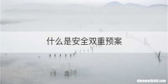 什么是安全双重预案