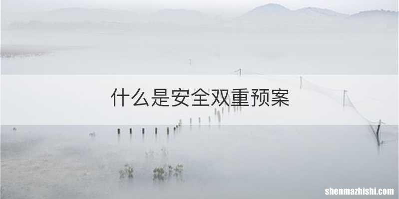 什么是安全双重预案