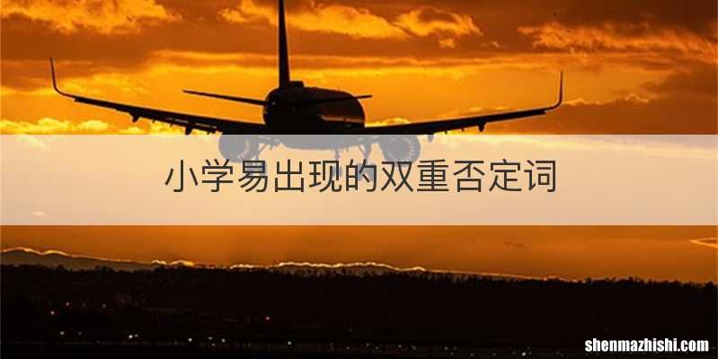 小学易出现的双重否定词