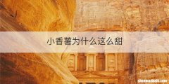 小香薯为什么这么甜