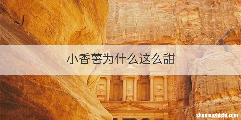 小香薯为什么这么甜