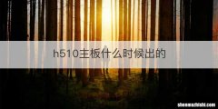 h510主板什么时候出的