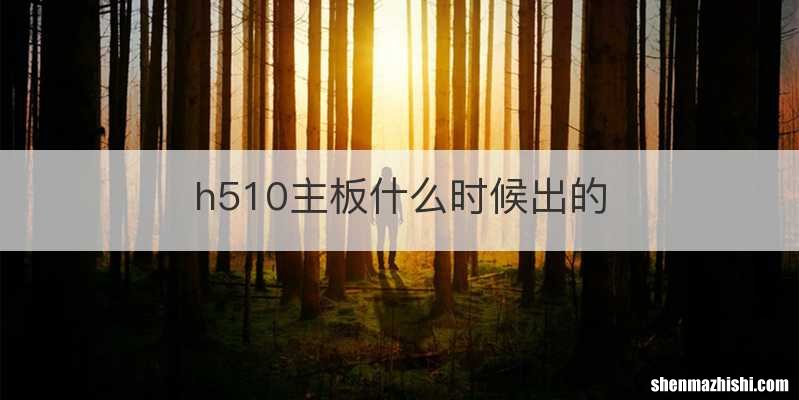 h510主板什么时候出的
