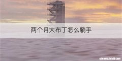 两个月大布丁怎么躺手