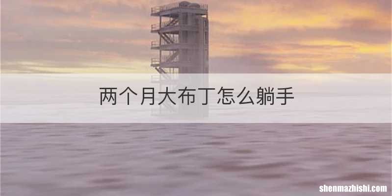 两个月大布丁怎么躺手