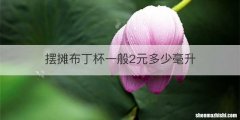 摆摊布丁杯一般2元多少毫升