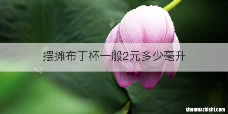摆摊布丁杯一般2元多少毫升