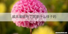 戚风蛋糕布丁层是什么样子的