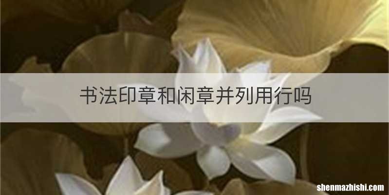 书法印章和闲章并列用行吗