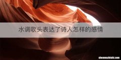 水调歌头表达了诗人怎样的感情
